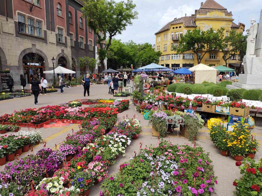 festival cveća - subotica