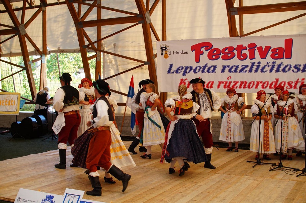 Festival “Lepota različitosti“