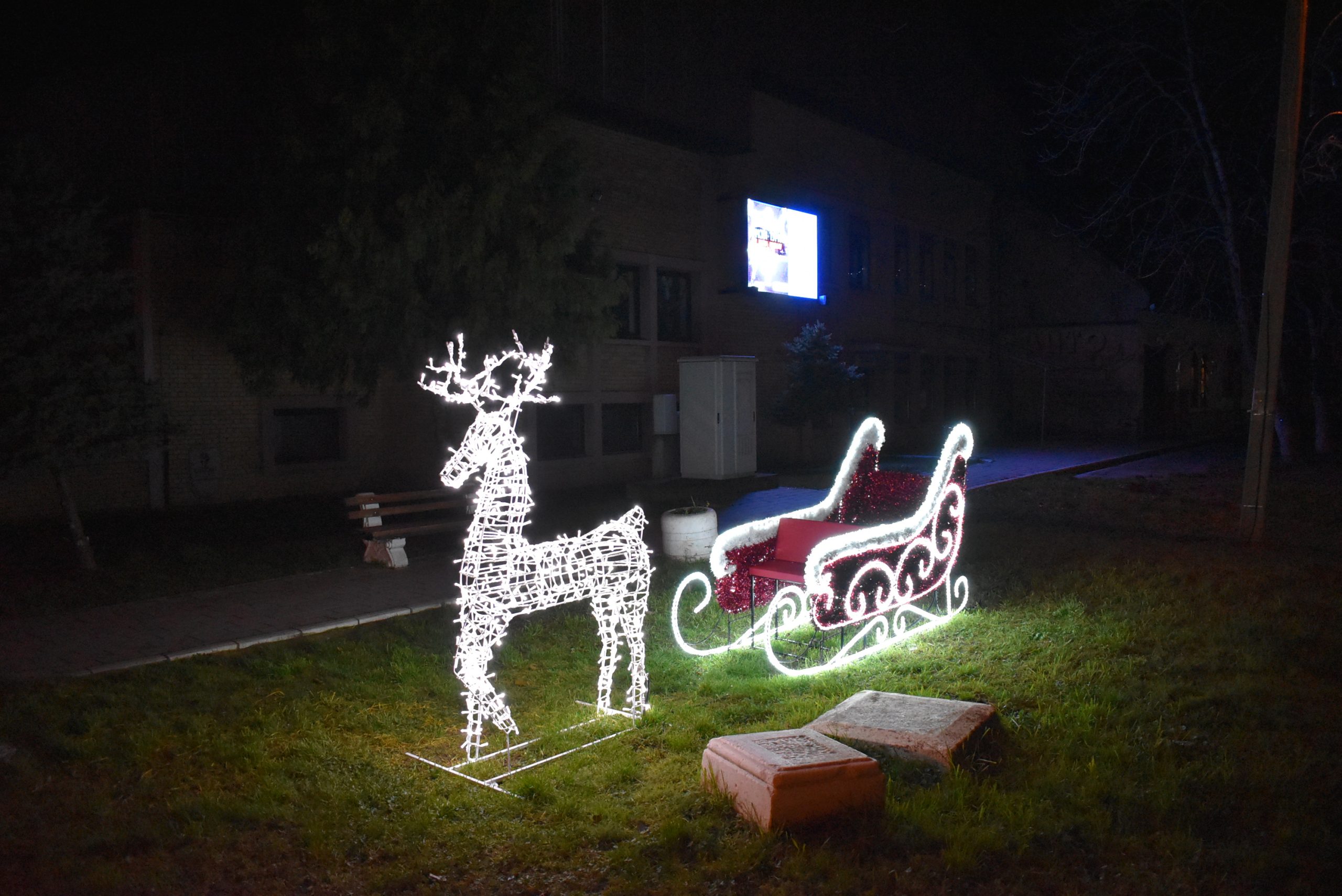 novogodišnja dekoracija - odžaci 