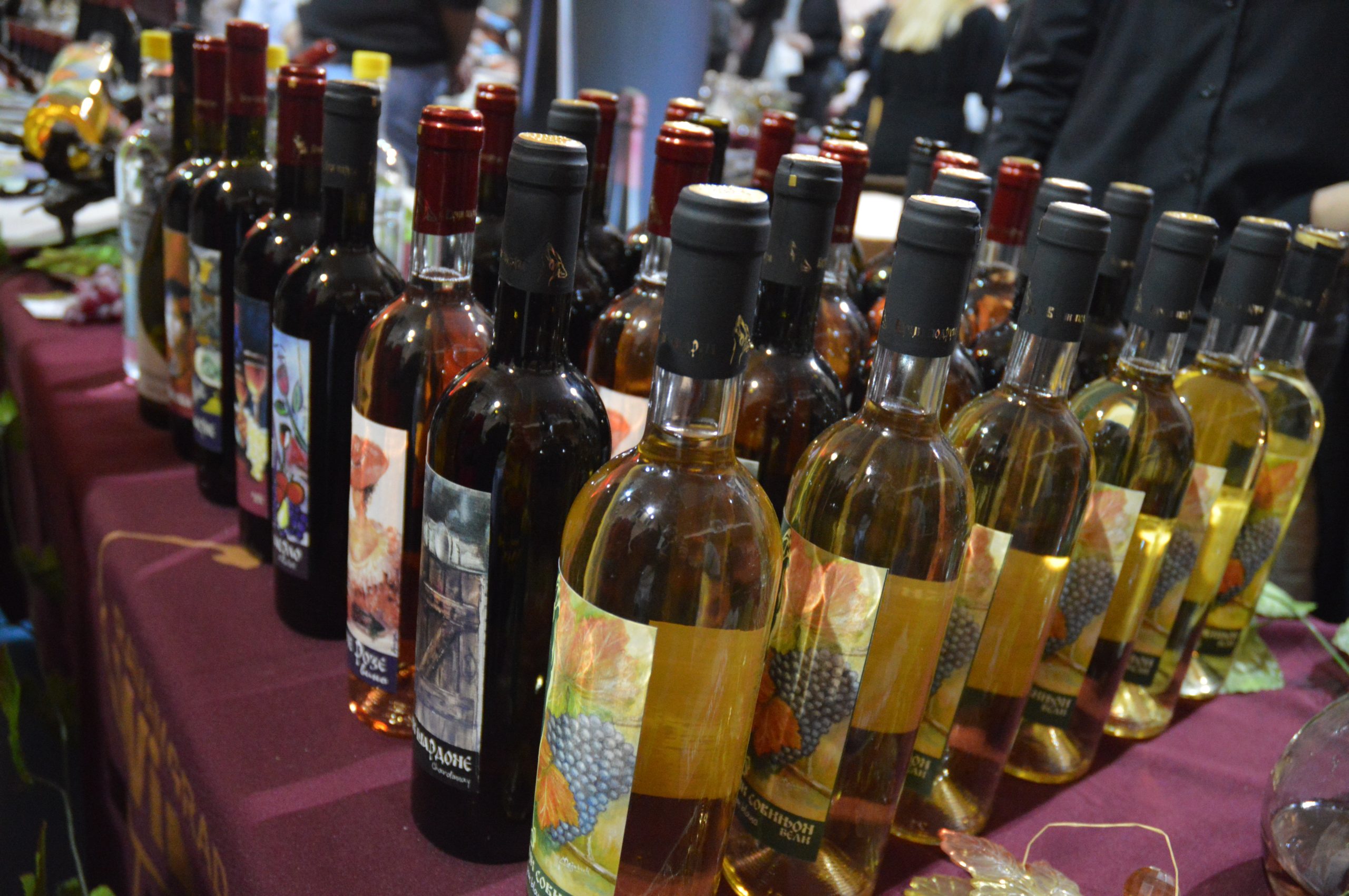 „Ravangrad Wine Fest" - sombor 