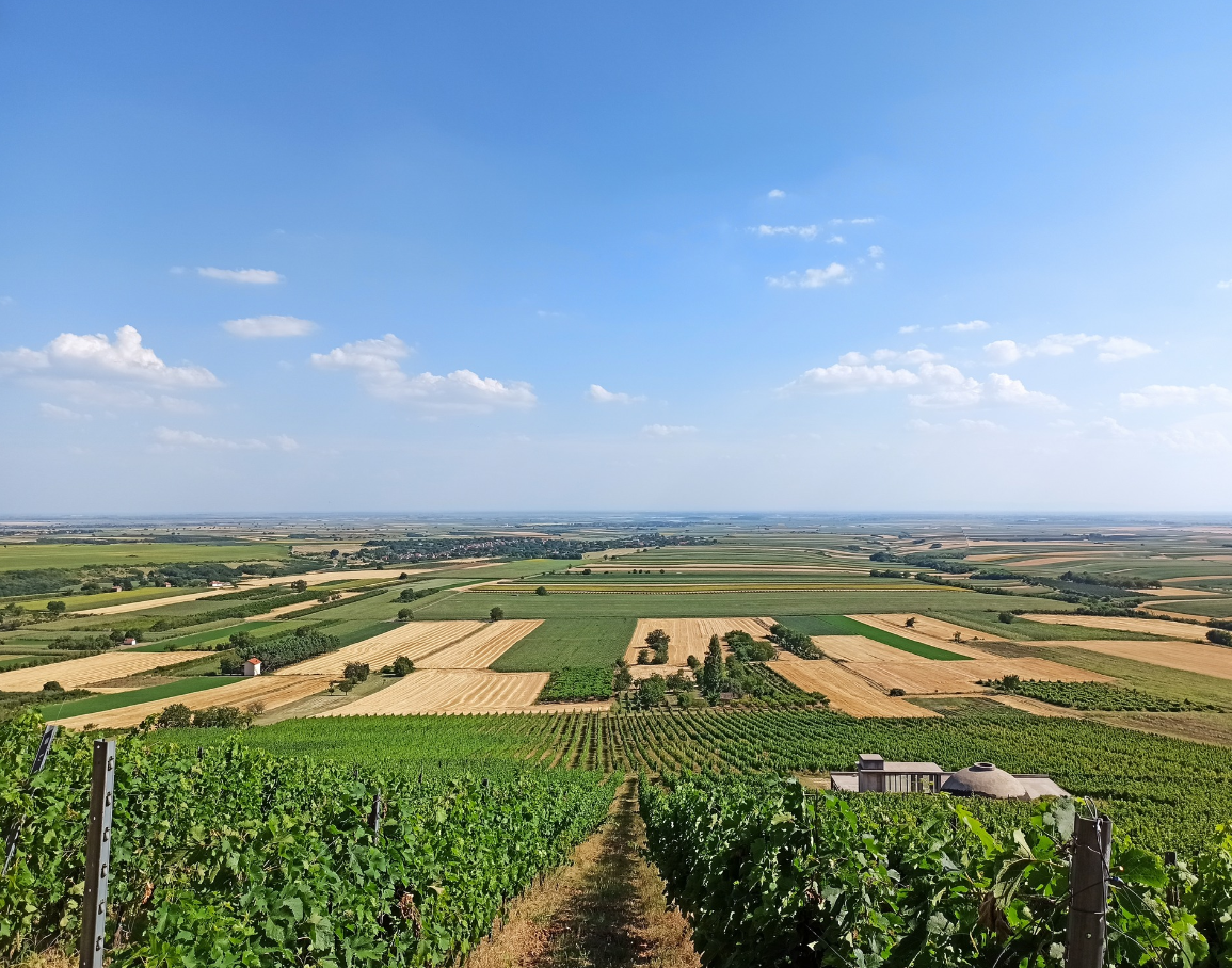 Vojvodina pejzaž