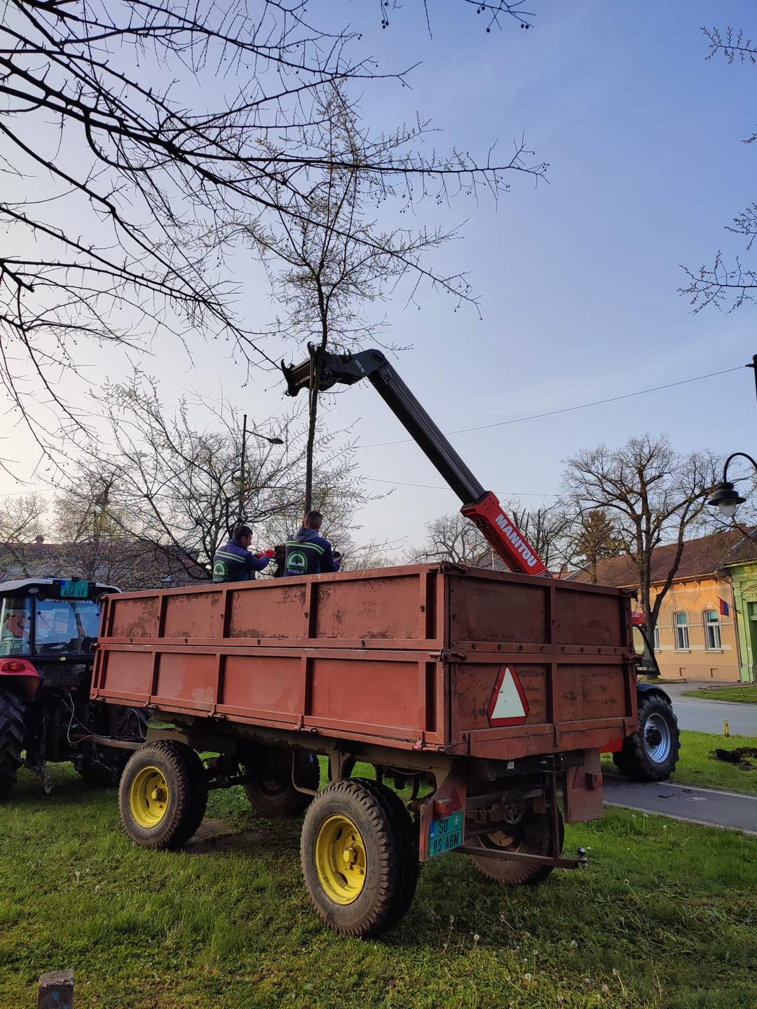 JKP "Zelenilo" Sombor-presađivanje 