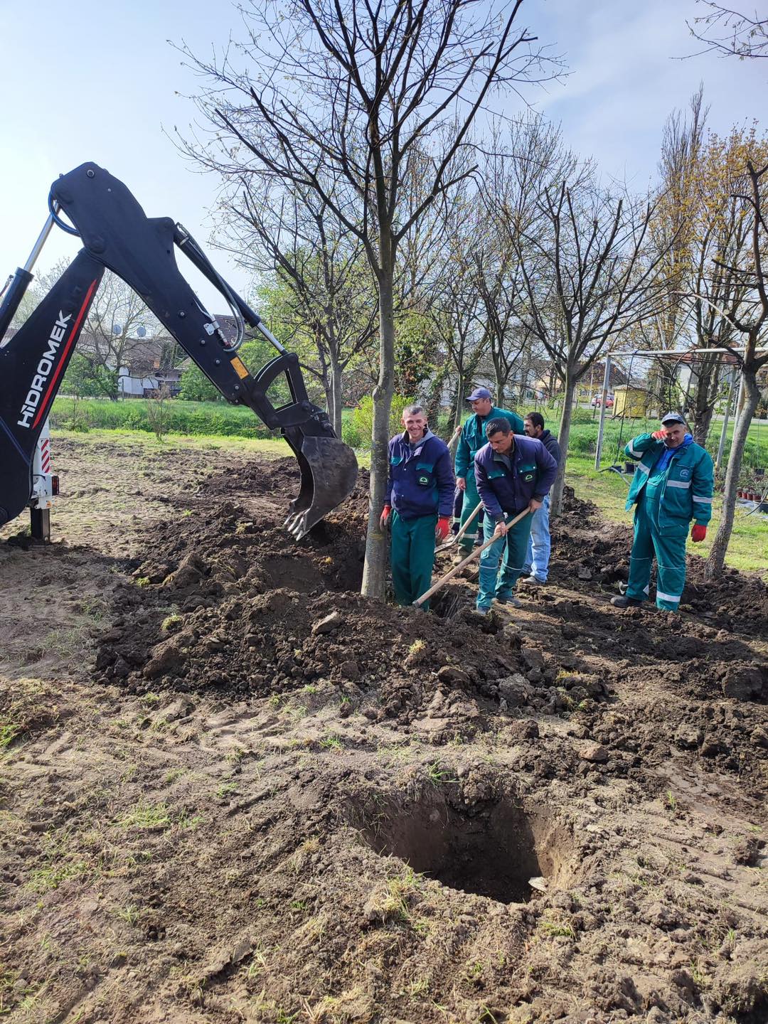 JKP "Zelenilo" Sombor-presađivanje 