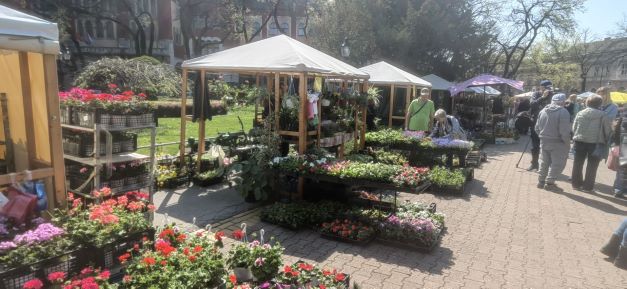 garden flora - subotica