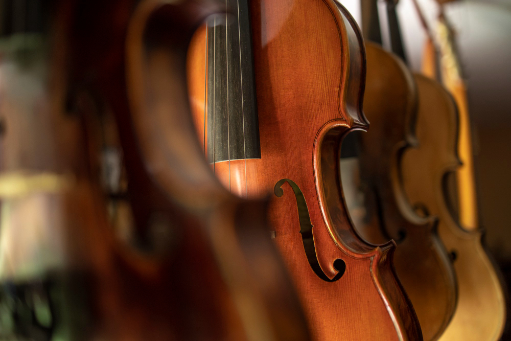 Bogat koncertni program klasične muzike do 29. aprila u Novom Sadu