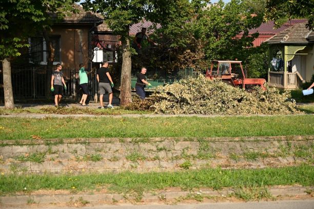 Opština Beočin, čišćenje posle nevremena, jul 2023, Vojvodina uživo