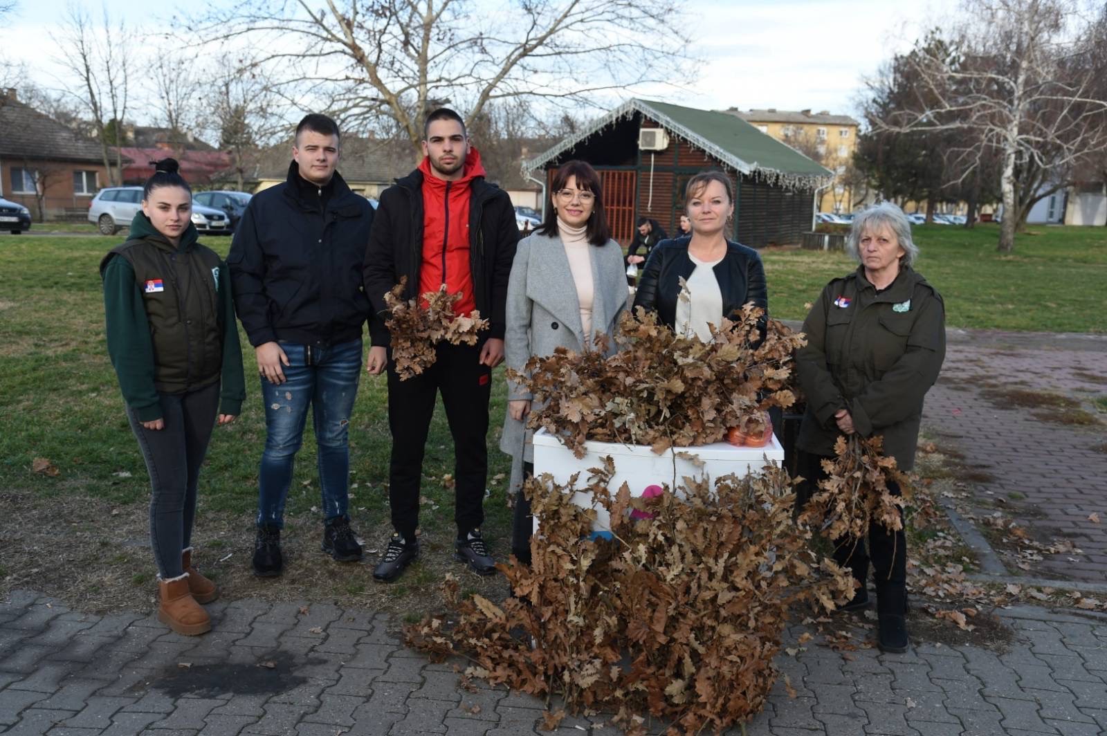 Beočin, podelja badnjaka 2024, izvor Vojvodina uživo