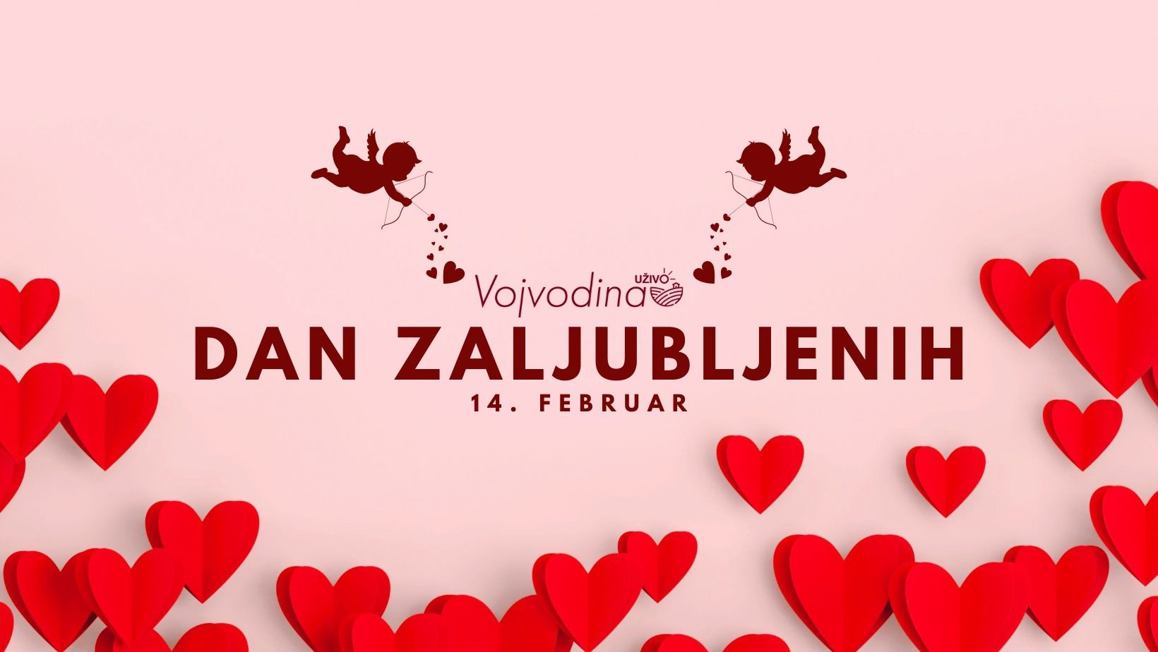 Dan zaljubljenih, izvor Vojvodina uzivo