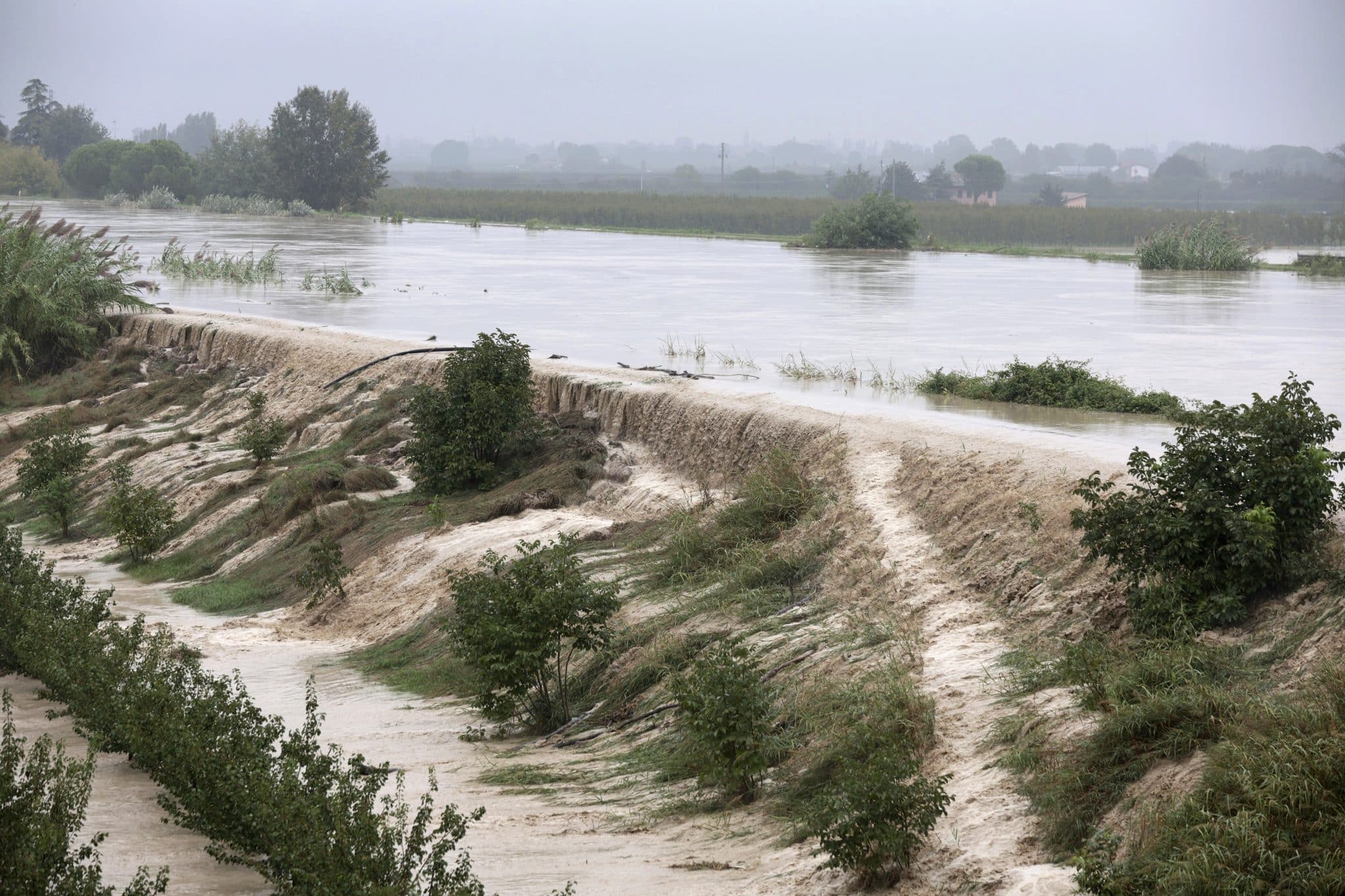 The Lamone river overflows its banks near Bagnacavallo, in the region of Emilia-Romagna, Italy, Thursday, Sept. 19, 2024.