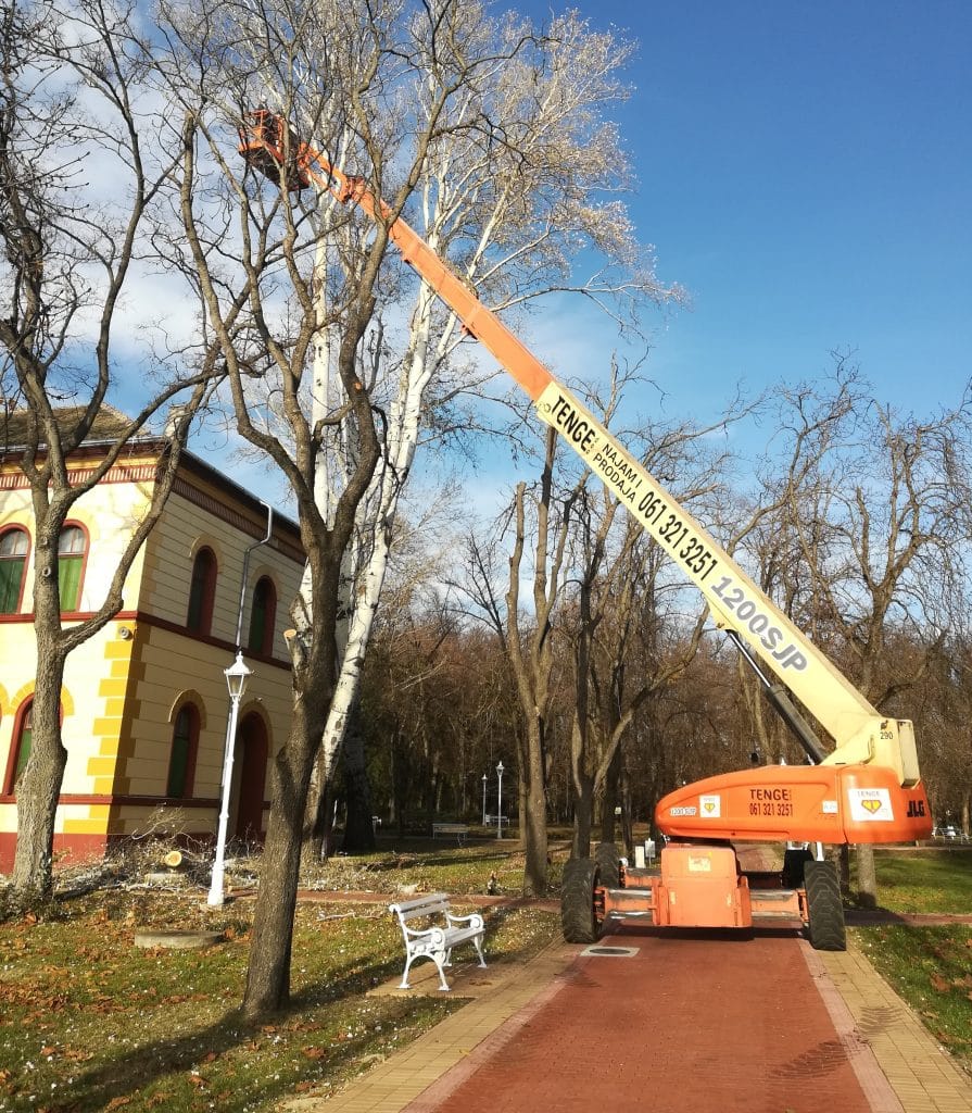 Orezivanje suvih stabala na nekoliko lokacija na Paliću