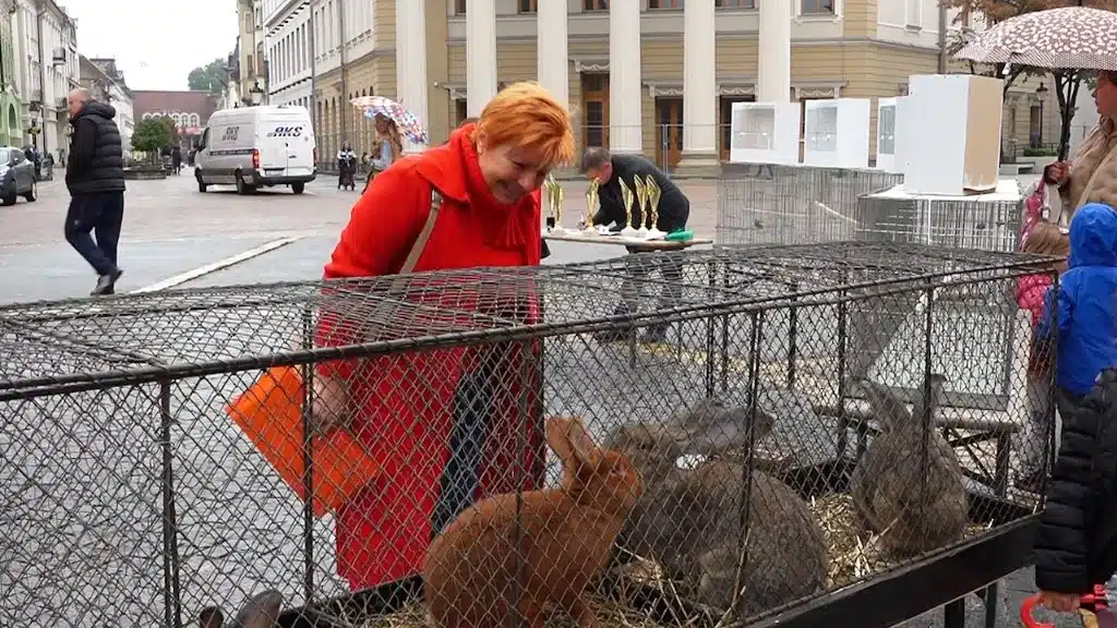 izložba sitnih životinja