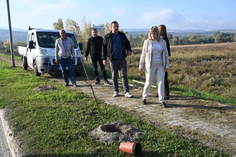 U Beočinu počelo pošumljavanje vetrozaštitnih pojaseva