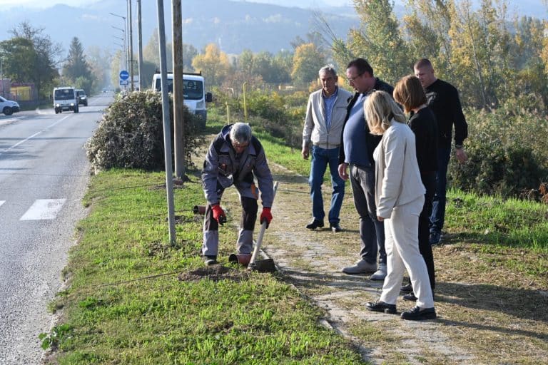 U Beočinu počelo pošumljavanje vetrozaštitnih pojaseva