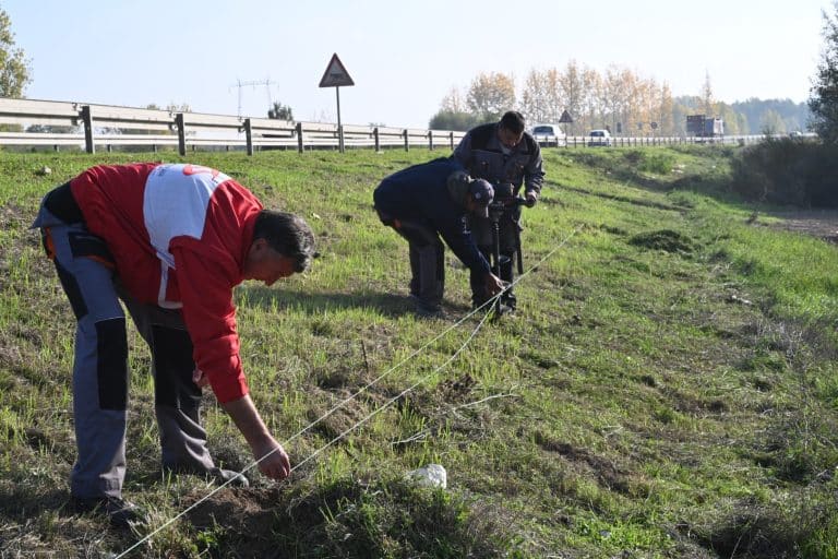 U Beočinu počelo pošumljavanje vetrozaštitnih pojaseva