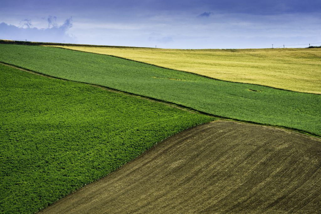 njiva zemmljište izvor Envato