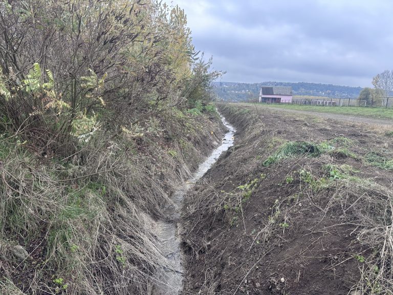 Sprovedeni radovi na čišćenju i održavanju potoka i kanala na teritoriji opštine Beočin