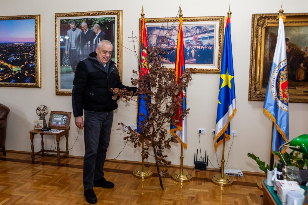 I ove godine badnjak krasi subotičku Gradsku kuću