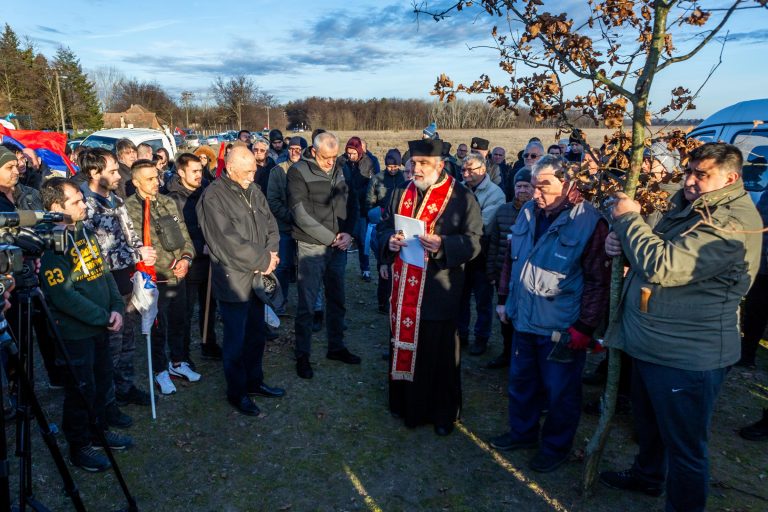 I ove godine badnjak krasi subotičku Gradsku kuću