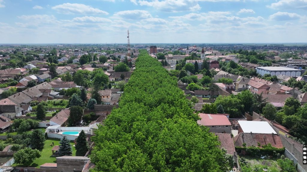 kikinda najelpša ulica