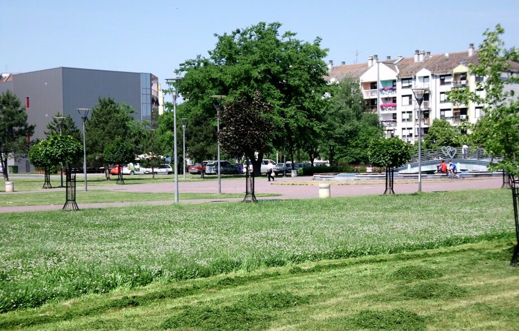 Kiša intenzivirala radove na košenju gradskih travnatih površina
