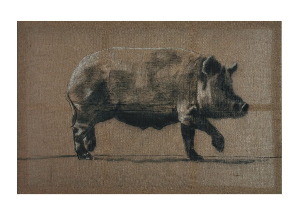 Izložba „O svinjama sve najlepše“ 27. maja u Galeriji KC