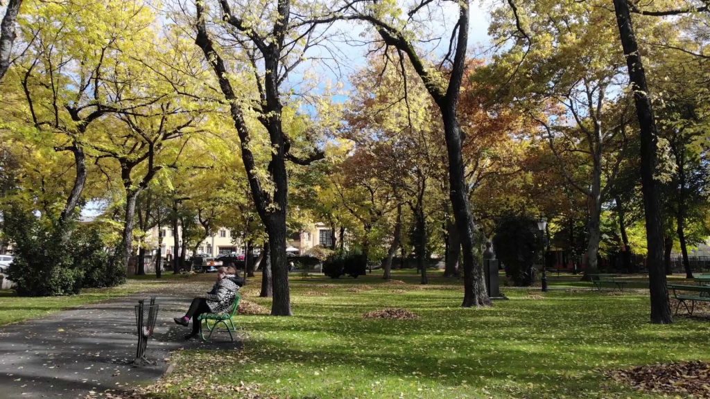 Tematska šetnja kroz park Ferenca Rajhla povodom Svetskog dana parkova