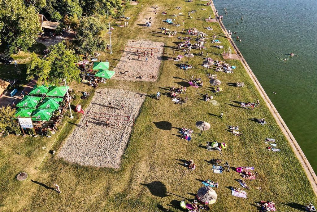 PALIC