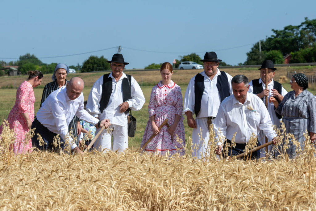 Održan tradicionalni ris na salašu porodice Babičković