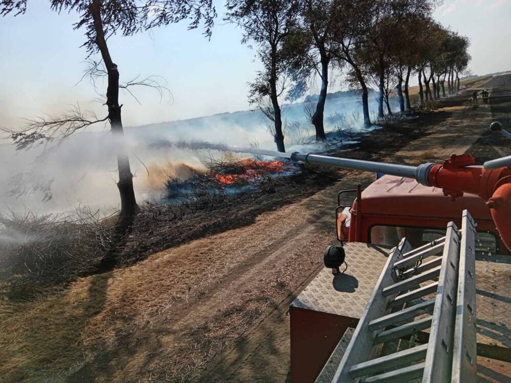 Kula: Izgorelo oko 150 hektara zemlja