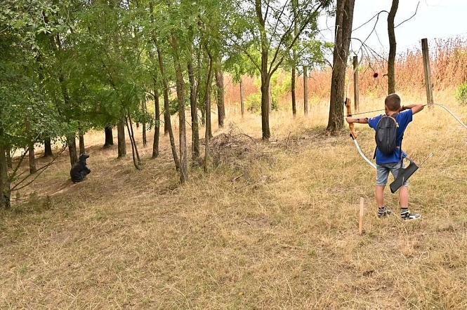 Crvenka: Održan Kup Vojvodine u 3d streličarstvu
