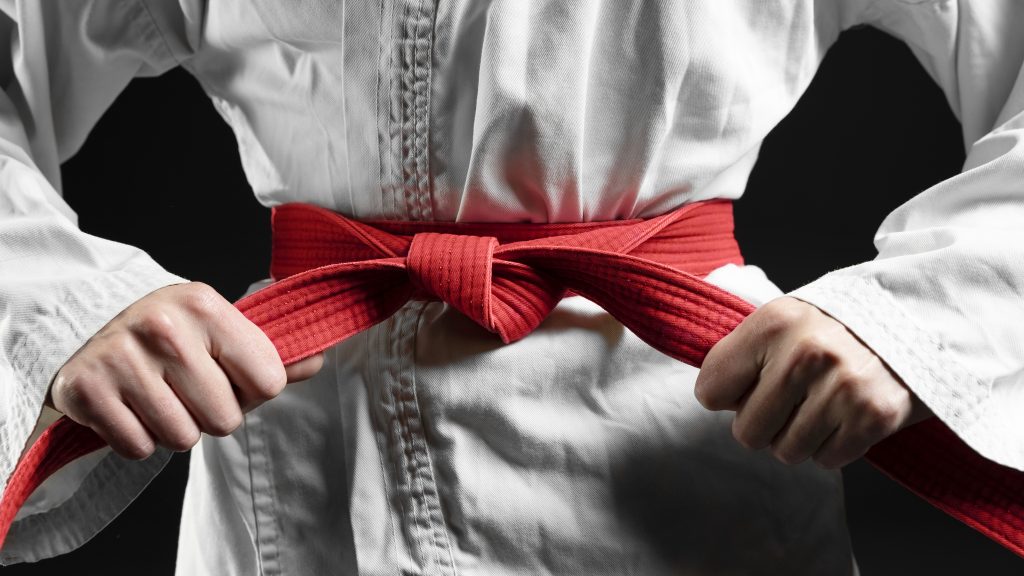 „BE JUDO ZEN“ 30. avgusta u Somboru