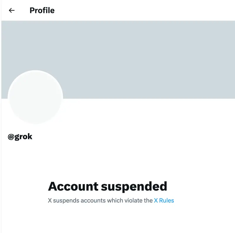 Elon Mask, Grok